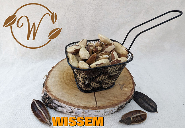 notenshop_wissem-paranoten