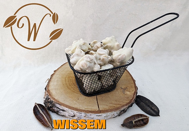 notenshop_wissem-pindarotsjes-witte-chocolade_453057050
